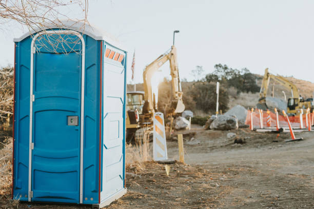 Best Affordable portable toilet rental  in Johnston City, IL