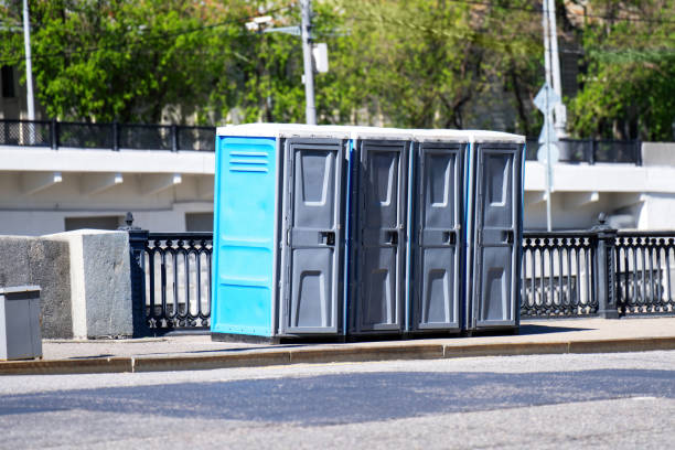 Best Luxury portable toilet rental  in Johnston City, IL
